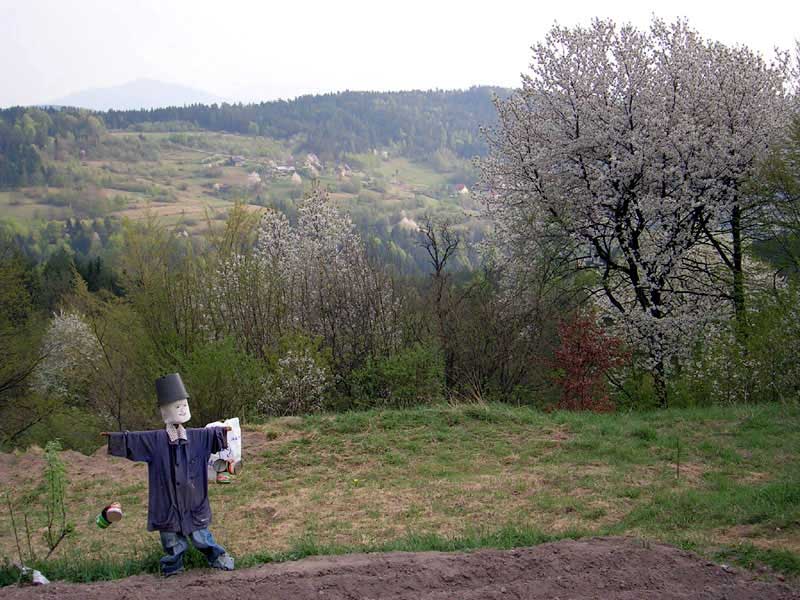 Talagwka, przy zielonym szlaku z Mylenic na Kudacze. Fot. Kuba Terakowski